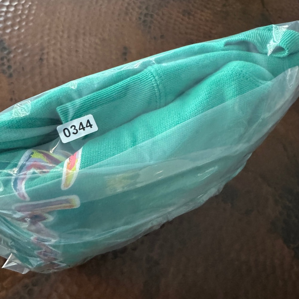 Champion Hoodie NWT Women 1X Green Colorful Script Logo Fleece Outdoor Pullover - Picture 11 of 11